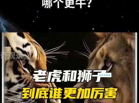 叱咤风云打一正确动物原来是它你猜对了吗