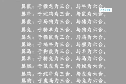 六六相对相持续指什么生肖快来了解一下