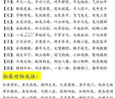 孙康映雪指哪个生肖 成语中的动物象征解析