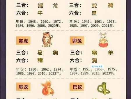 雍容华贵打一准确生肖看看你猜对了没有