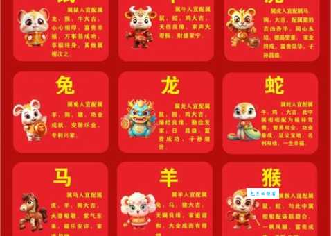 傍柳随花打最佳一肖生肖配对秘诀公开