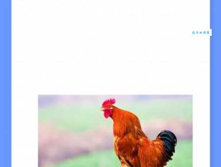 功成不居打一正确生肖 这个谜底到底是什么动物