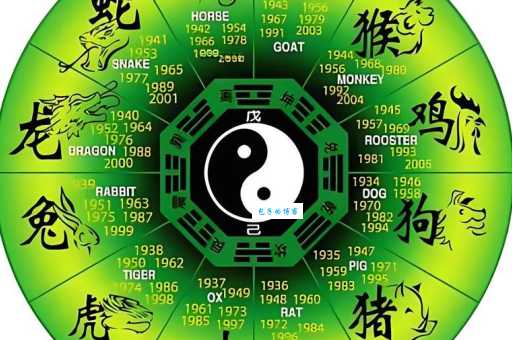 七八姐妹谁最威打一准确生肖谜底大公开