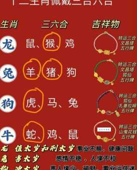 十二生肖中目光短浅的三大生肖 有你吗