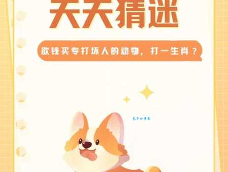 当午日明猜正确一肖是什么生肖快来了解一下