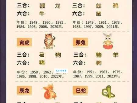 英才盖世打什么生肖 生肖排名大公开