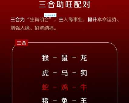 殊途同归代表什么生肖 这几个生肖最贴切