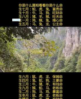 心荡神驰是什么生肖 看看你的属相上榜了吗