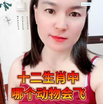 蓝天飞虹指什么生肖 原来答案这么简单