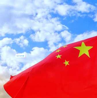 红旗飘扬打一生肖答案揭晓原来是指这个动物