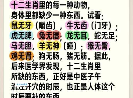 不可一世是什么生肖看看哪个生肖最目中无人