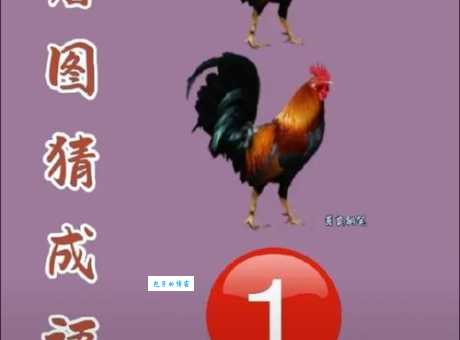 两小无猜打一个生肖猜猜看是什么动物