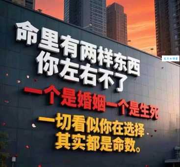 何必翻云覆雨最爱健康身体打一生肖原来是它