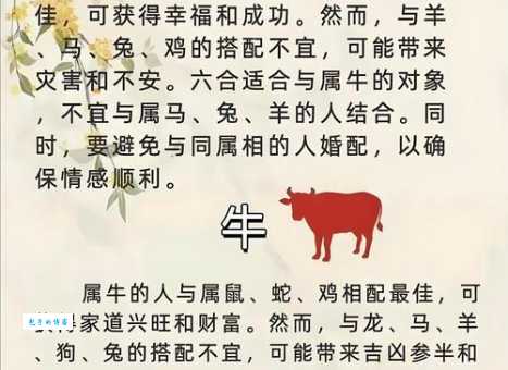 左家成亲是什么生肖 生肖与婚姻的奇妙联系