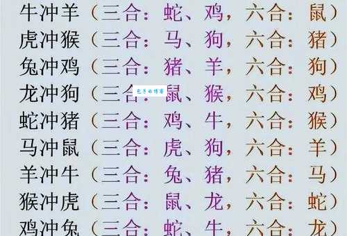 无能之辈正确生肖对照表看看你中招没