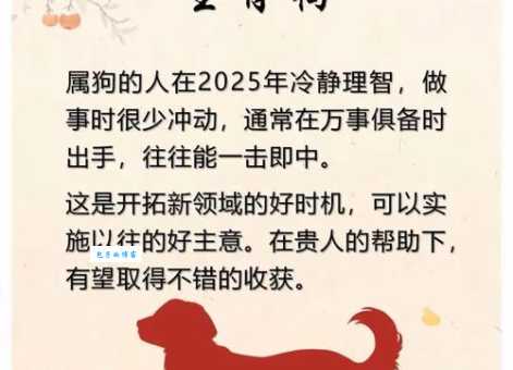 无能之辈正确生肖对照表看看你中招没