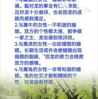 百舸竞渡是什么生肖 揭秘十二生肖中的水上王者