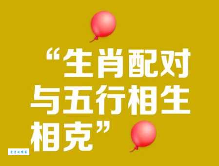 千夫所指是什么生肖 这些生肖为何总被吐槽