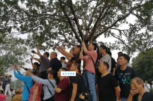 人山人海打一生肖 答案竟然这么简单