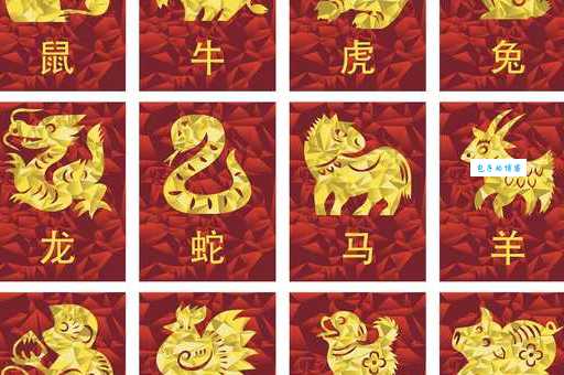 一目十行打一生肖看看你是不是这个属相
