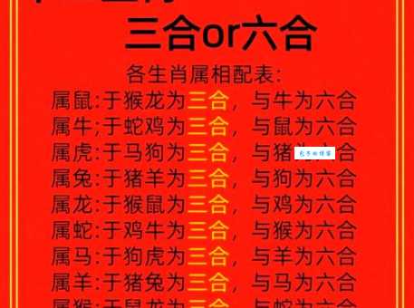 一目十行打一生肖看看你是不是这个属相