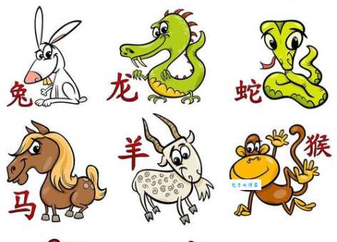 婆婆妈妈打一生肖快来猜猜是哪个属相