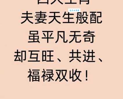 功成不居是什么生肖 哪些生肖懂得隐藏实力