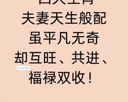 横行无忌是什么生肖揭秘哪些生肖最无所顾忌