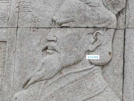 南阳三葛是什么意思历史故事揭秘