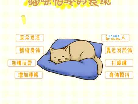 瑟瑟寒风是什么生肖 揭秘冬季最怕冷的动物