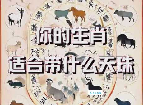 夜观天象是什么生肖 揭秘十二生肖中的神秘传说