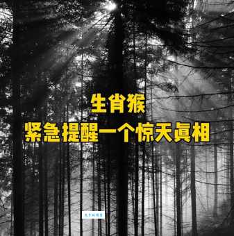 惊天霹雳打一生肖这个答案太震撼你绝对想不到