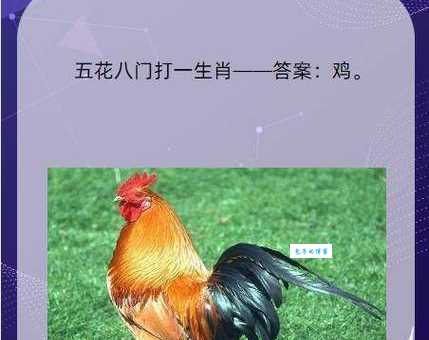 指桑骂槐打一生肖的谜语你猜出来了吗试试看