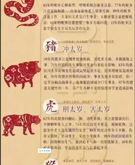 一言为定打一准确生肖到底是哪个动物呢