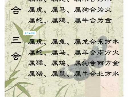 两全齐美指什么生肖 揭秘哪些属相最会平衡生活