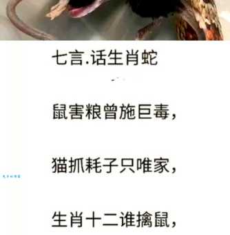 三餐不饱打一生肖答案揭晓原来是指这个动物