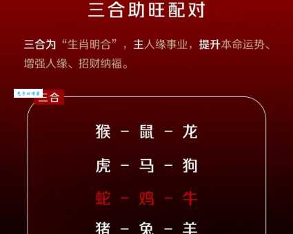 家家户户要靠它指的是什么生肖 老一辈都说准没错