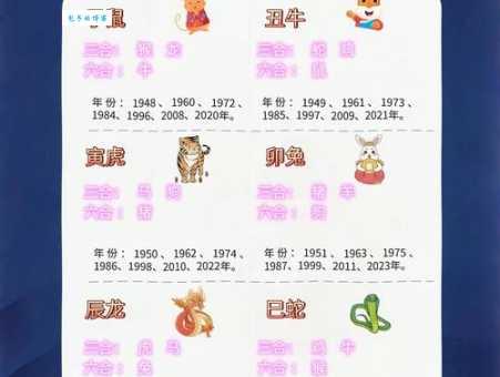 眼明手快打一个生肖看看谁的反应最快