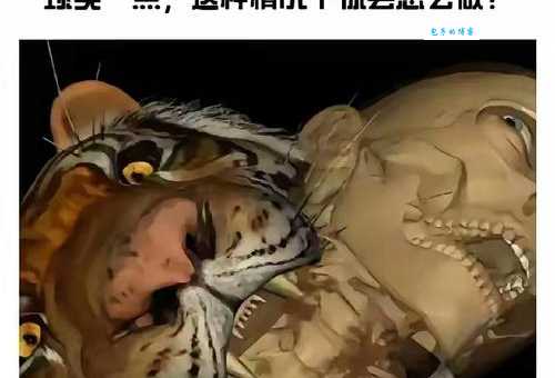 罪魁祸首的意思打一生肖 哪个动物背黑锅最多