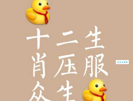 心如止水打一最佳生肖原来是这个动物