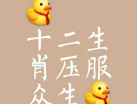 有功之臣打一准确生肖快来试试你的运气