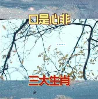 违心之言是什么生肖 揭秘十二生肖中的口是心非