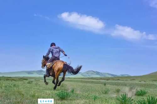 策马奔腾什么意思 用来形容什么样的状态