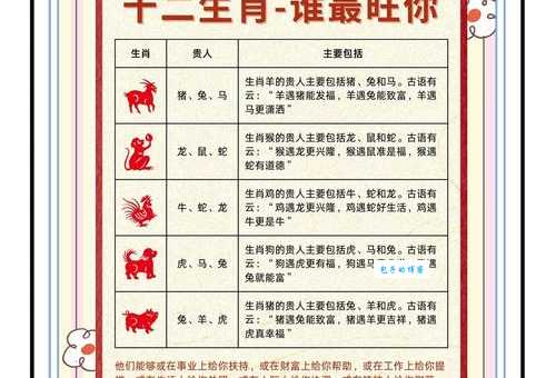 步步为营打一正确生肖揭秘十二生肖中谁最稳