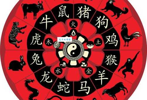 探头探脑的动物是什么生肖 原来这个生肖最爱东张西望
