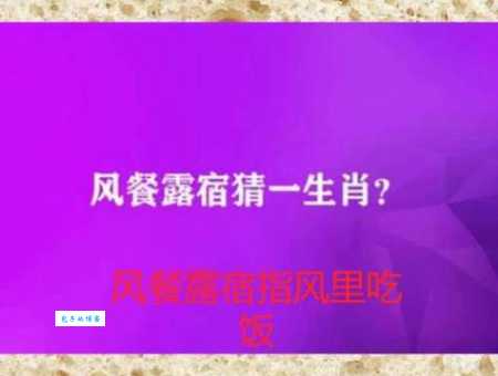 风餐露宿打一准确生肖看看你猜对了吗