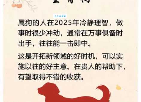 安分守己打一最佳生肖原来是这个老实人