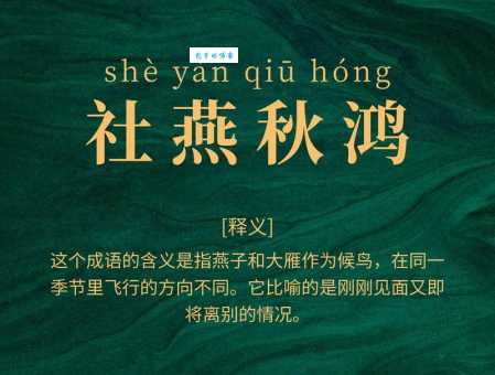 断雁孤鸿是什么生肖 这个生肖的寓意你知道吗