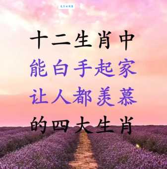 白手空拳打一准确生肖答案出乎意料