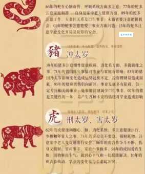 子午相冲是什么生肖 这几个属相容易犯冲